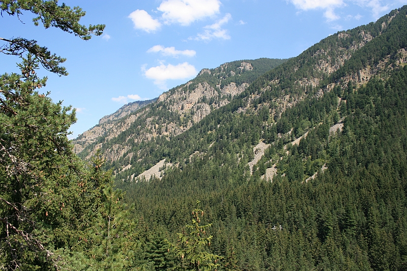 Bulgaria 2008 569